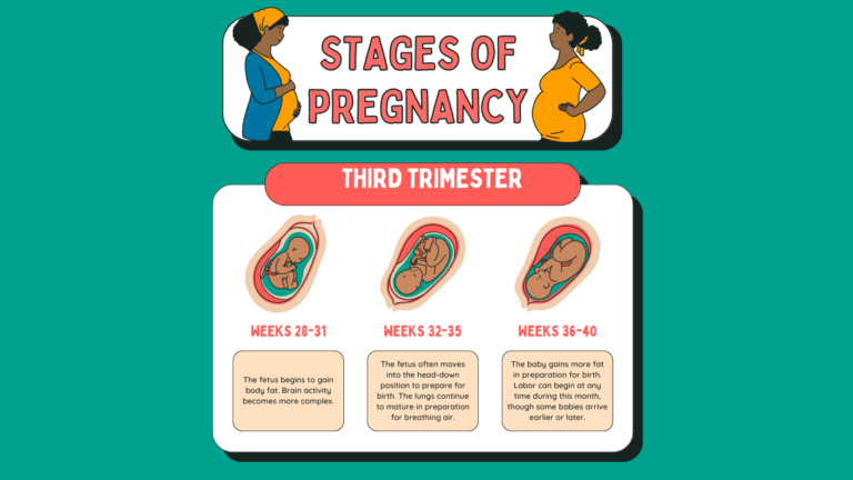 third trimester of pregnancy | third trimester weeks | symptoms of third trimester in pregnancy | tiredness in third trimester of pregnancy | third trimester symptoms