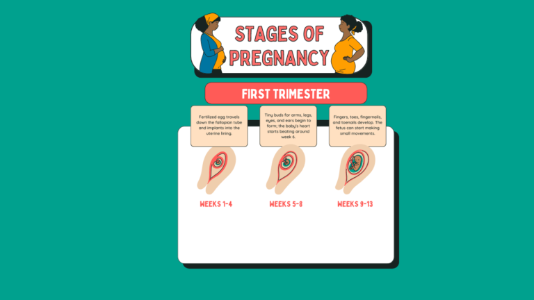 first trimester of pregnancy | how long is the first trimester of pregnancy | danger signs of pregnancy in first trimester